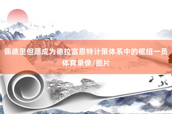 佩德里但愿成为德拉富恩特计策体系中的枢纽一员体育录像/图片