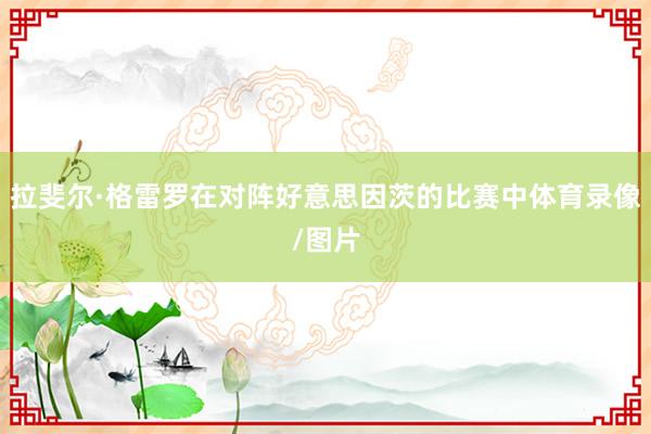 拉斐尔·格雷罗在对阵好意思因茨的比赛中体育录像/图片