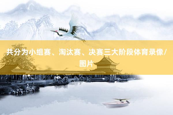 共分为小组赛、淘汰赛、决赛三大阶段体育录像/图片