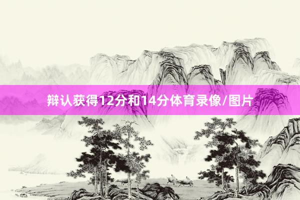 辩认获得12分和14分体育录像/图片