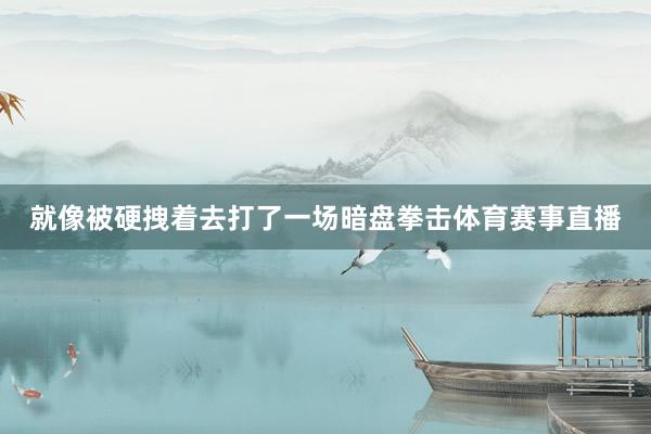 就像被硬拽着去打了一场暗盘拳击体育赛事直播