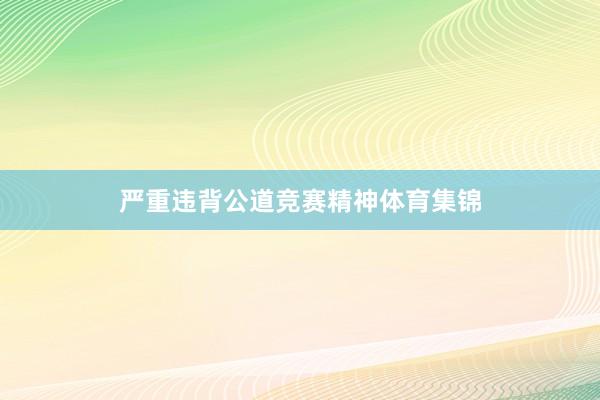 严重违背公道竞赛精神体育集锦