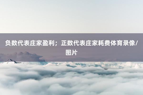 负数代表庄家盈利；正数代表庄家耗费体育录像/图片