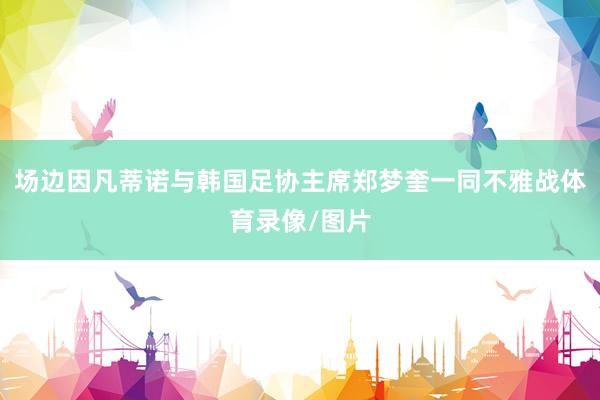 场边因凡蒂诺与韩国足协主席郑梦奎一同不雅战体育录像/图片