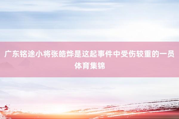 广东铭途小将张皓烨是这起事件中受伤较重的一员体育集锦