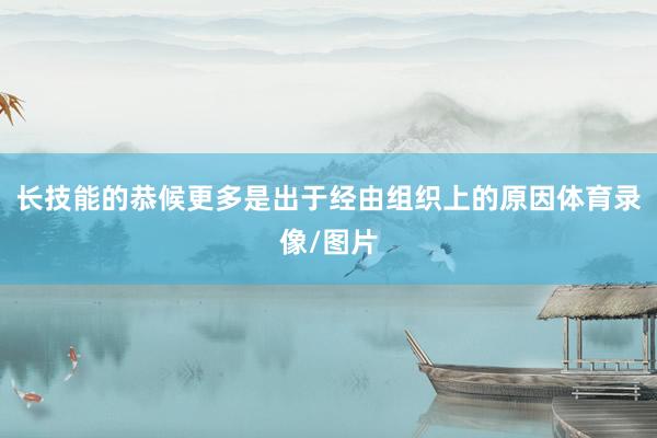 长技能的恭候更多是出于经由组织上的原因体育录像/图片